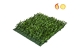 Topiary Mat Bux Side 25x25cm SQ FR UV-S1