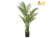 Palm Areca 150cm FR UV-S2