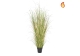 Grass Green/Yellow In Pot 180cm FR-S3