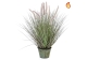 Grass Dogtail Grass With Metal Pot 97cm FR-S2