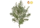 Foliage Artemisia Grey/Green 45cm FR UV-S1