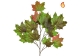 Foliage Maple North American Red/Green 71cm FR-S1