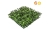Topiary Mat Bux Top 25x25cm SQ FR UV-S1