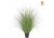 Grass Green/Red Tip In Pot 140cm FR-S3