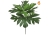 Foliage Artocarpus Green 78cm FR-S1