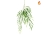 Foliage Willow Weeping Green 130cm UK FR-S1